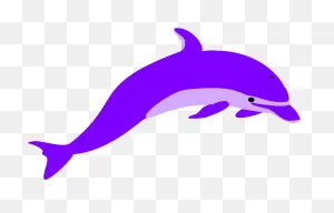 Dolphin Clipart. Free Download Transparent .png | ClipartFlare
