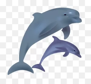 Free Dolphin, Download Free Dolphin Png Images, Free ClipartFlare.com 