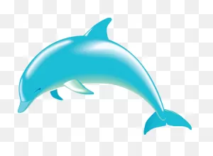 Free Dolphin, Download Free Dolphin Png Images, Free ClipartFlare.com 