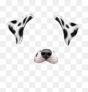 Png-Trash | Png, Dog Filter, Dogs
