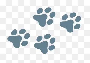 Dog Paw Prints Clipart. Free Download Transparent .png | ClipartFlare