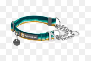 Chain Reaction™ Martingale Dog Collar