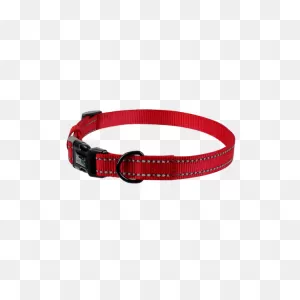 Everyday Nylon Collar