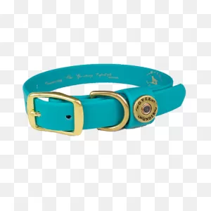 Water Dog Collar Teal