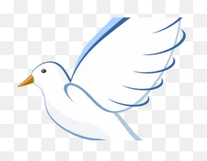 White Dove Clipart Clip Art - International Day Of Peace 2017 ClipartFlare.com 