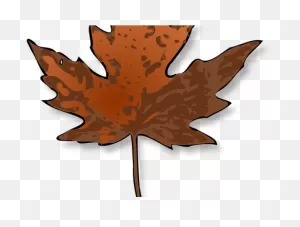 Download Hd Maple Leaf Clipart Dry Leaf - Maple Leaf Clip Art ClipartFlare.com 