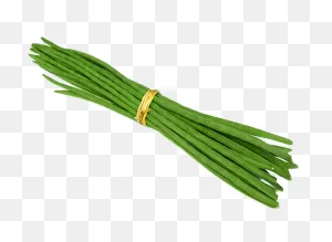 Drumsticks Drawing Drumstick Vegetable - Drumstick Png Clipart ClipartFlare.com 