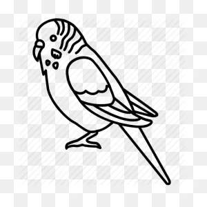 Bird Line Drawing Clipart - Bird, Pet, Drawing, Transparent Clip Art