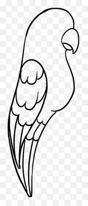 Easy Parrot Drawing Clipart - Full Size Clipart (#5572071 ClipartFlare.com 