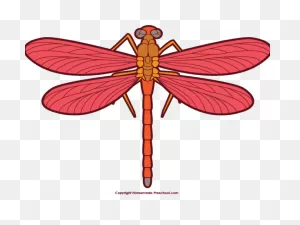 Dragonfly Clipart Small Animal - Dragonfly Cliparts - Png Download ClipartFlare.com 