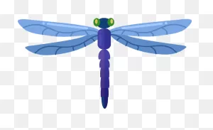 Dragonfly Clipart. Free Download Transparent .png | ClipartFlare