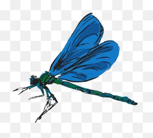 Dragonfly, Flying, Color, Wings, Art, Insect, Fly - Dragonfly ClipartFlare.com 
