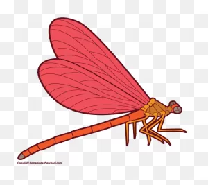 Free Dragonfly Clipart 4 - ClipartFlare