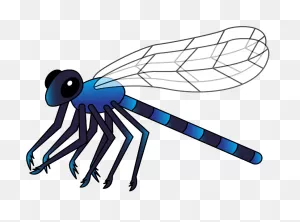 Free Download - Dragonfly Clipart - Png Download - Full Size ClipartFlare.com 