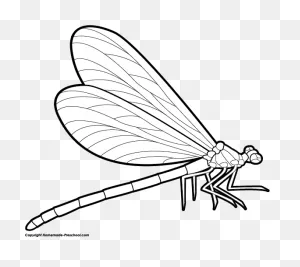 Pics For > Dragonfly Clipart | Dragonfly Drawing, Dragonfly ClipartFlare.com 