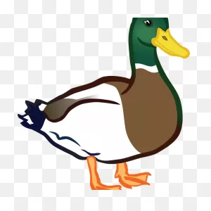 Clip Art Of Ducks Images On Page - Duck Clipart Transparent Png ClipartFlare.com 