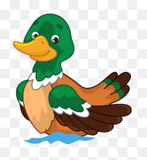 Mallard Duck Clipart. Free Download Transparent .png | ClipartFlare