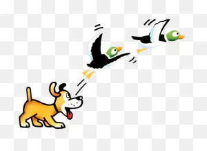 Duck Hunt - Smashwiki, The Super Smash Bros. Wiki