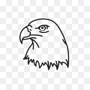 American Eagle, Bald Eagle, Bird, Eagle, Eagle Head, Independence ClipartFlare.com 