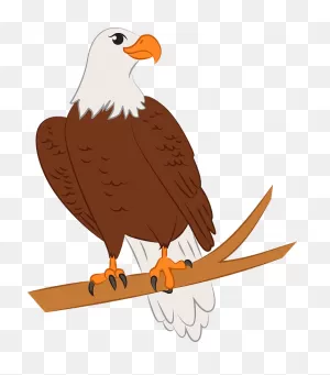 Bald Eagle Clipart. Free Download Transparent .png | ClipartFlare