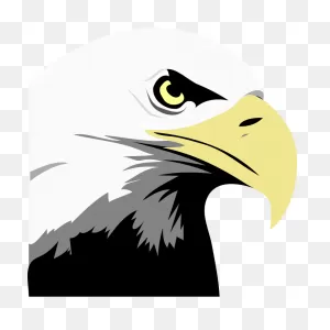 Bald Eagle - Eagle Eye Clipart - Full Size Clipart (#68926 ClipartFlare.com 