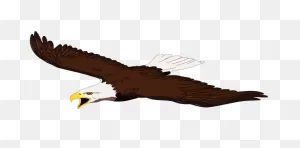 Bald Eagle Clip Art Clipart - ClipartFlare