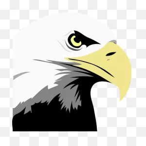 Bald Eagle Head Clip Art At ClipartFlare ClipartFlare.com - Vector Clip Art Online ClipartFlare.com 