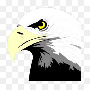 Download Hd Bald Eagle Head Clip Art Transparent Png Image ClipartFlare.com 