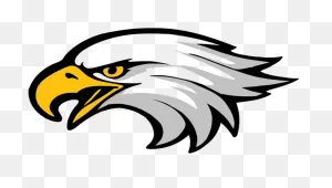 Face Clipart Eagle - Bald Eagle Head Clip Art - Png Download ClipartFlare.com 