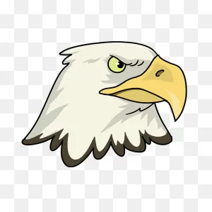 How To Draw An Eagle Head - Really Easy Drawing Tutorial