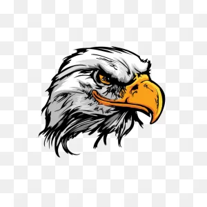 Printed Vinyl Eagle Head | ClipartFlare