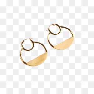 2021 Danielle Walker Luna Hoop Earrings – Daniellewalkerenterprises
