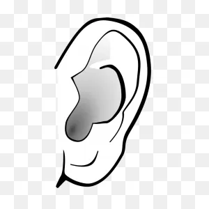 Ear Clipart Clip Art Clip Art Free Clip Art Borders Clip Art Image ClipartFlare.com 