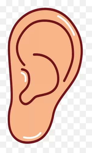 Ear Clipart. Free Download Transparent .png | ClipartFlare