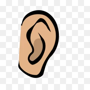 Free Image Of Ear, Download Free Image Of Ear Png Images, Free ClipartFlare.com 