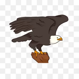 Bald Eagle Vector Graphics Beak Bird - Eagle Wings Png PNG-WebP Vector ClipartFlare.com 