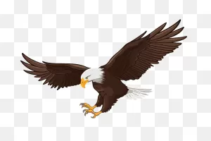 Eagle Vector