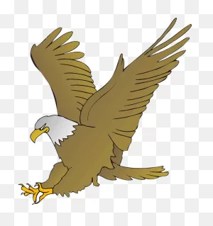 Eagle Animal Beak - Free Vector Graphic On ClipartFlare