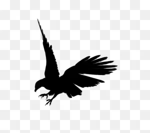 Free Eagle Feather Silhouette, Download Free Eagle Feather ClipartFlare.com 