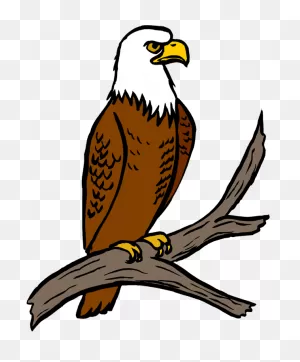 Free Eagle Feather Silhouette, Download Free Eagle Feather ClipartFlare.com 