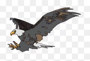 Eagle Wings Bird - Free Vector Graphic On Pixabay