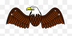 Eagle Wings Feathers - Free Vector Graphic On Pixabay
