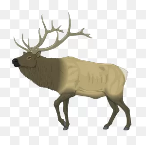 100  Free Elk & Deer Illustrations