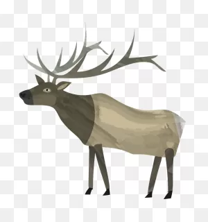 Elk: Activity (Science Trek: Idaho Public Television)