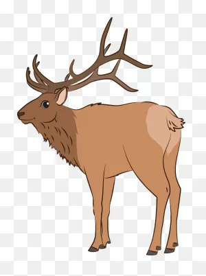 Elk Clipart. Free Download Transparent .png | ClipartFlare