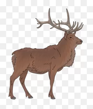 Elk Clipart - Elk Clipart Png Transparent Png - Full Size Clipart ClipartFlare.com 