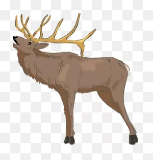 I Made This For Mightymoose To Thank Him For His Hard - Elk ClipartFlare.com 