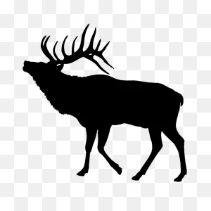 Transparent Elk Clipart, Elk Png Image @ Pngimages.pics