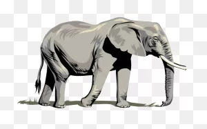 Free Clipart Elephant Pictures - ClipartFlare