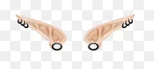 Ear Elf Clip Art - Ear Png Download - 1000*451 - Free Transparent ClipartFlare.com 